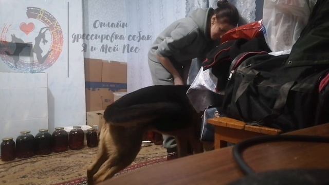майк поиск смотреть онлайн