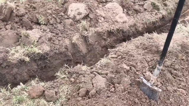 Эксперимент-коп металла в Калининграде, есть ли смысл смотреть онлайн