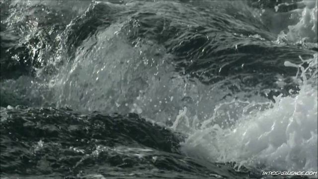 Waters - BIRD IN A GALE смотреть онлайн