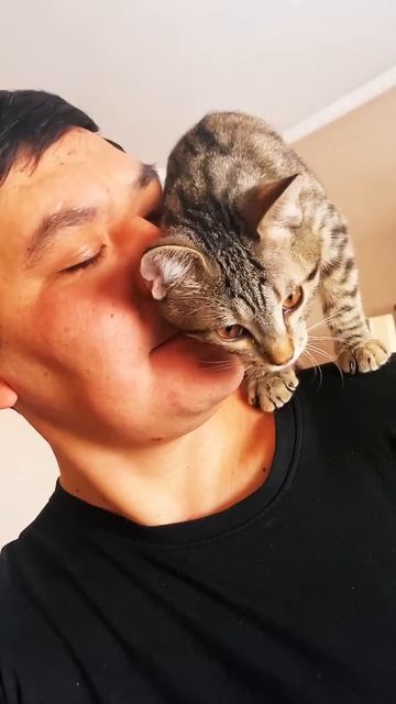 Мой классный кот Макс #алматы #юмор #сварной #сварка #ко смотреть онлайн
