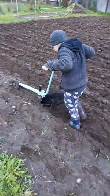 Сынок Егор 7,5 лет пашет самостоятельно огород!!! смотреть онлайн