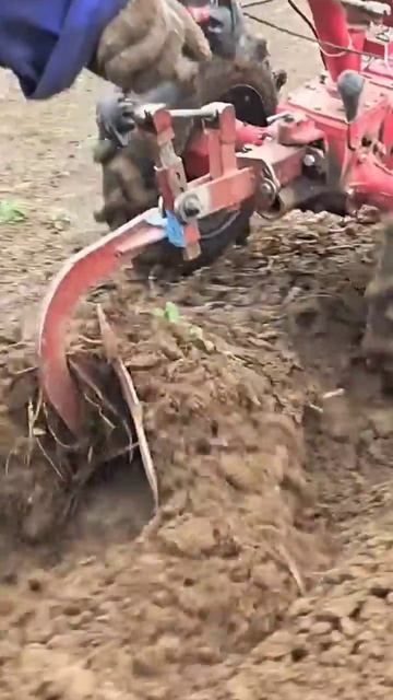 Мотоблок с плугом #агротехнологии #farming смотреть онлайн