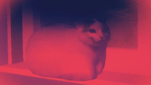 Валенок сидит на окне: Версия 4