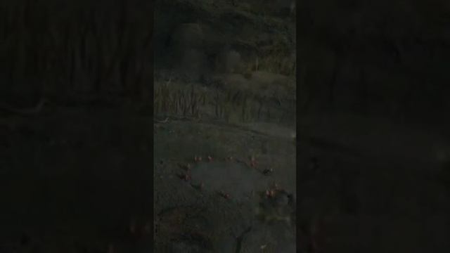 зачем ей волшебный колодец? смотреть онлайн