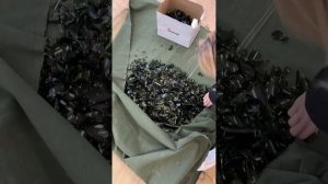 22.10 провели тренинг для детей личностного роста «Я ВСЁ