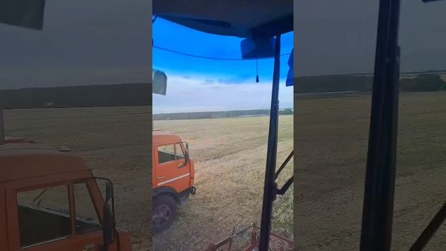 уборочная 2024 #acros595plus #ростсельмаш #farming часть 2 смотреть онлайн
