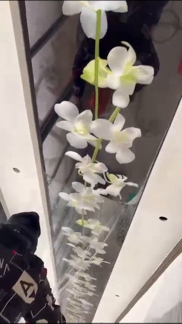 Г.Ош Натяжные Потолки 0999-40-17-17 #натяжныепотолкиотзывы