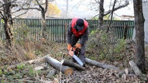 Распил дров в саду старой бензопилой