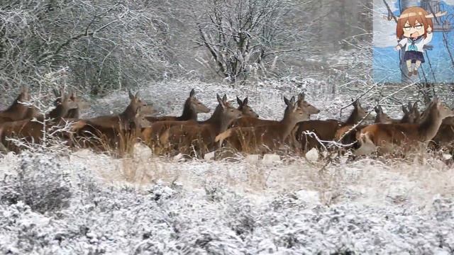 Новый год и стена кирпич смотреть онлайн