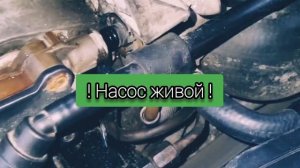 Mercedes Sprinter OM612 - Воздух в топливной, давление, прокачка, ?