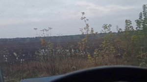 На целине трактор т-40 АМ,плуг 2*25,збільшую посіви зерно?