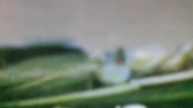 Новогодняя ( Тик-так, праздник у двери и в него я искренне верю!Пожелания даря)наброски) смотреть онлайн