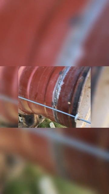 Мишлен 900/60/R32 на Дон 1500 #дон1500se #дон1500 #уборкариса #дон150 смотреть онлайн