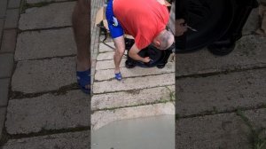 Электрическая газонокосилка CAT DG173