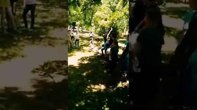 Я выступаю капоэйра