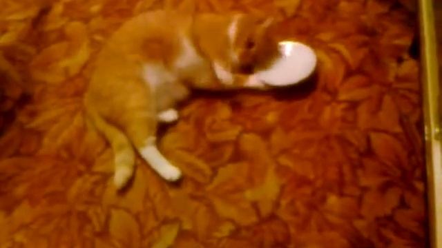 Любовь.Ру.avi смотреть онлайн