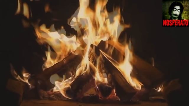 Посиделки у костра. Страшные истории на ночь 🫣🫣🫣 смотреть онлайн