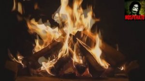 Посиделки у костра. Страшные истории на ночь 🫣🫣🫣