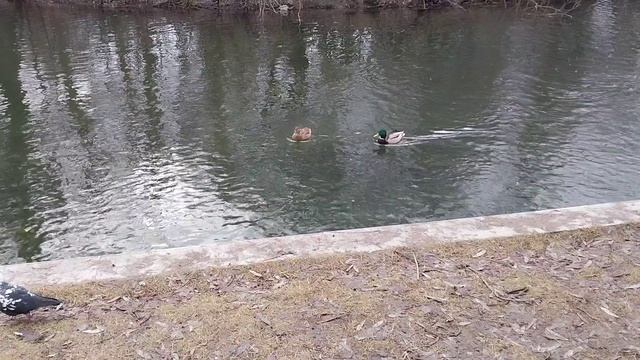 В парке Горького смотреть онлайн