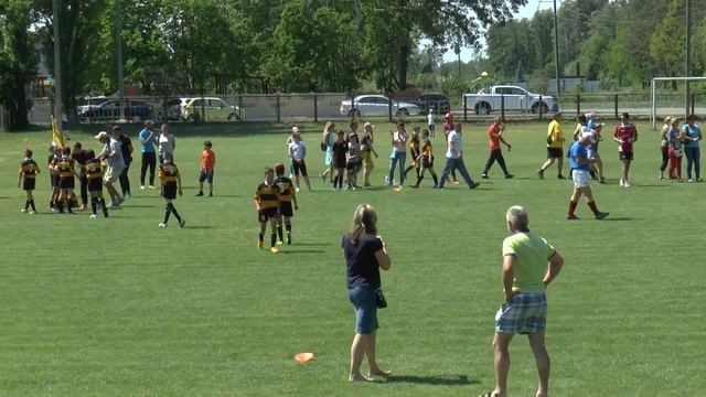 Гарт-Київські Соколи