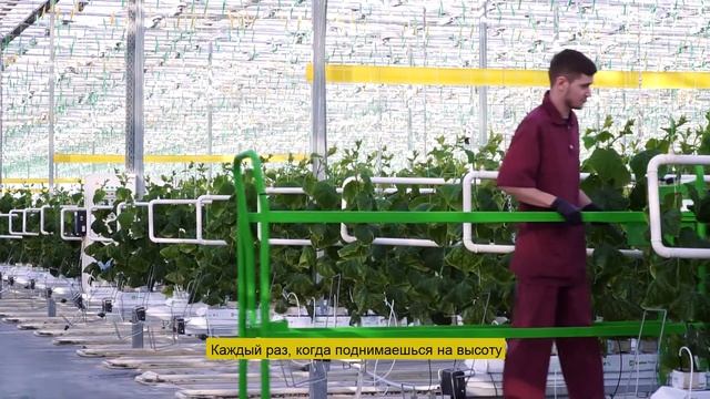 EVP глазами наших сотрудников! смотреть онлайн