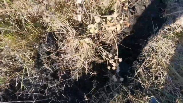 Металлокоп с новой катушкой с Мд Регион