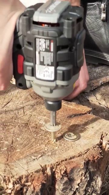 Конструкционный шуруп в дуб