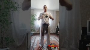 Разбор стойки Гунон сог