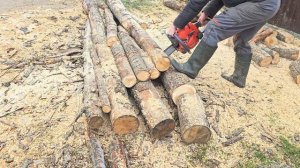Заготовка дров. Бензопила Олео-мак. Италия.
