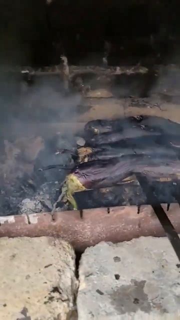 баклажан на мангале