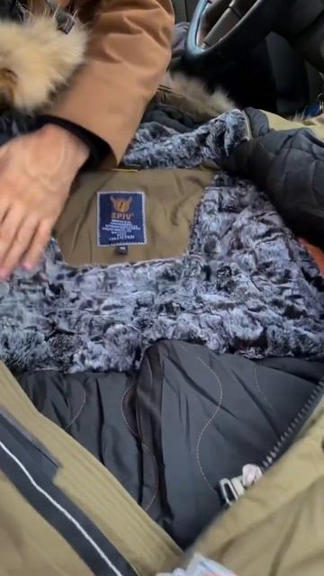 Готов к холодам 12 ноября 23года #shortvideo #shorts #пуховик #прайд #amstaff #аляска смотреть онлайн