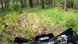 Regulmoto sport 003 pr 300 катаем по лесу