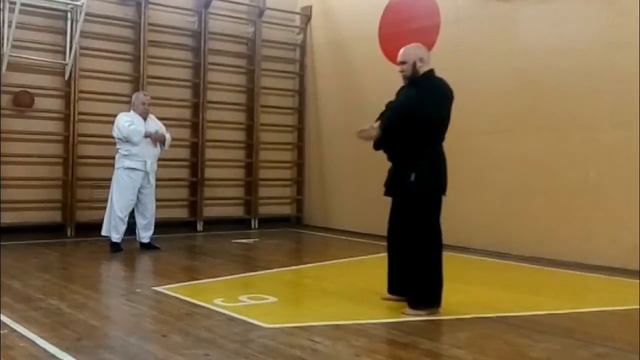 Айкидзюдзюцу, Айкидо, Японские единоборства. Вольф Ва? смотреть онлайн
