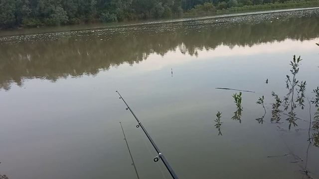 Рыбалка на реке Обь. Сильный паводок. смотреть онлайн