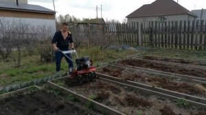 Рыхление грядок мотоблоком ЗУБР МТБ 300