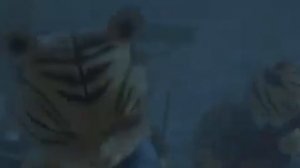 Кунг-фу Кролик: Повелитель огня /Мультфильм HD