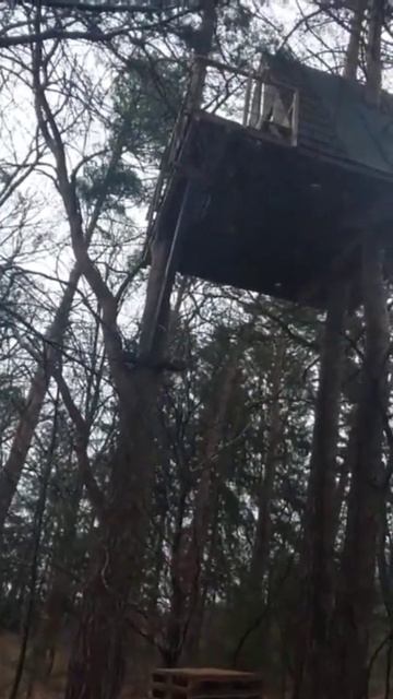 Дома на деревьях@polsveta50 смотреть онлайн