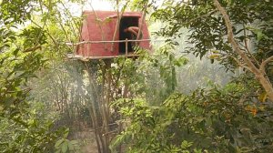 СТРОИМ ДОМ НА ДЕРЕВЕ как 1000 лет назад 🌳 Древние технологии + ASMR (стук топора, шелест листьев)