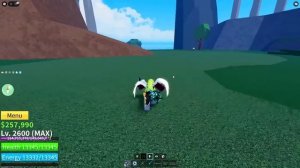 ОЦЕНИЛ ВСЕ В4 РАСЫ От Худшей к Лучшей В Блокс Фрутс | Roblo