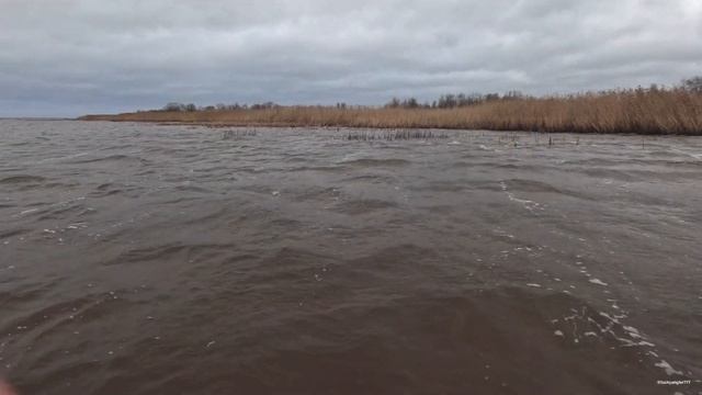 MINELAB MANTICORE vs XP DEUS II . Коп по воде, закрытие сезона 2024. #mine смотреть онлайн