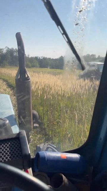 Косим в 2 косы💪 #automobile #мтз #agriculture #д240 #mtz #agriculturefarming #мт смотреть онлайн