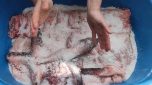 Балык из огромного ТОЛСТОЛОБИКА! Лучшее , что можно пр?
