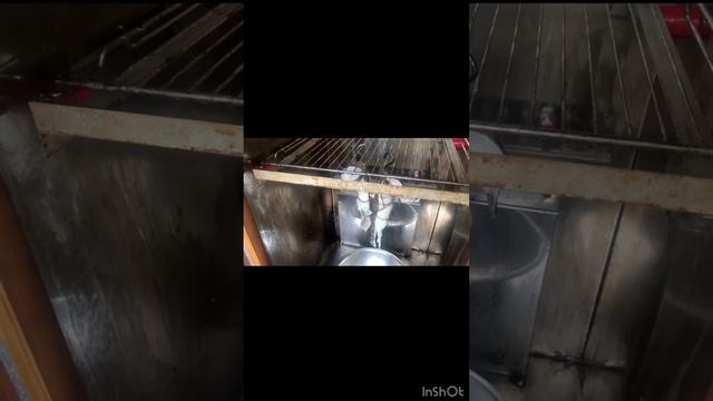 Копченая зубатка в коптильне Астра смотреть онлайн