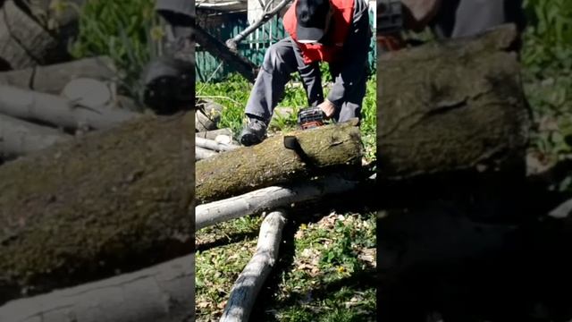 Что делать когда не заводится бензопила