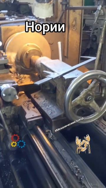 Нории любой высоты - доставка, ремонт, наладка, техобсл смотреть онлайн