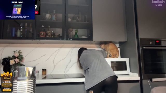 СПАЛИЛА ТРУСИКИ ПРЯМО НА СТРИМЕ🥵 | Генсуха смотреть онлайн