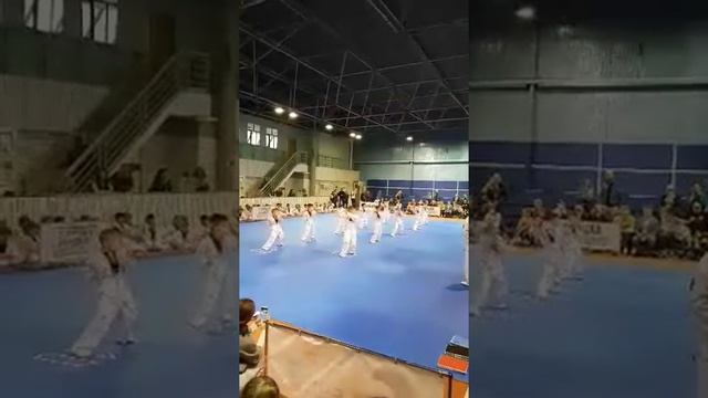 Деня сдает экзамен на желто-голубой пояс теквандо.