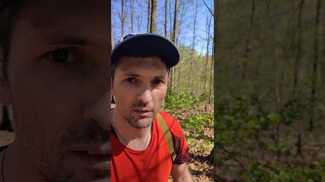 Как правильно настроить треккинговые палки | Безопасн смотреть онлайн