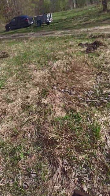 #shorts #youtubeshorts #коп #металлоискатель #металлокоп #хобби К смотреть онлайн