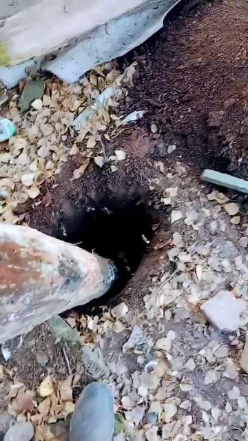 столбы буду ставить для забора смотреть онлайн